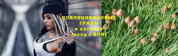 гидропоника Армянск